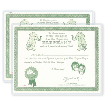Pouch laminating green and white school certificate