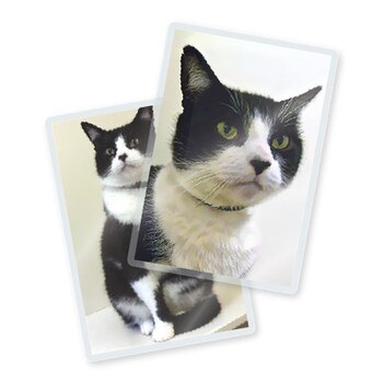 7 mil laminated card